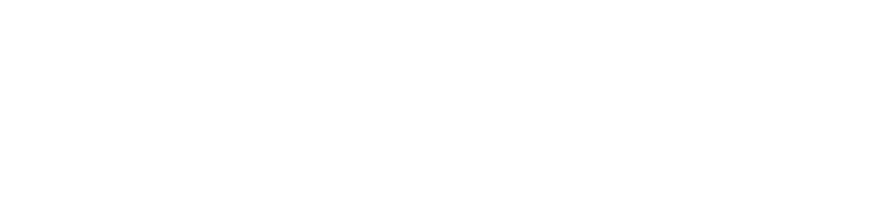 Newbie Leader